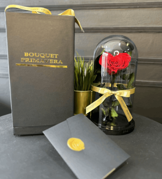 caja corazon preservada