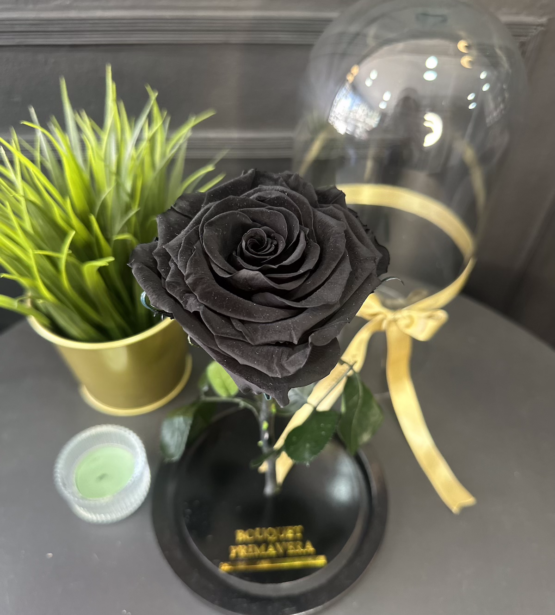 flor preservada negra
