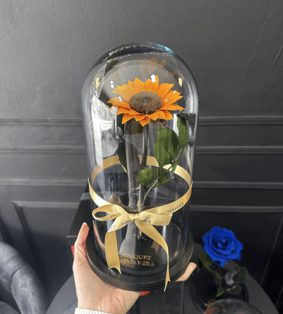 girasol preservado