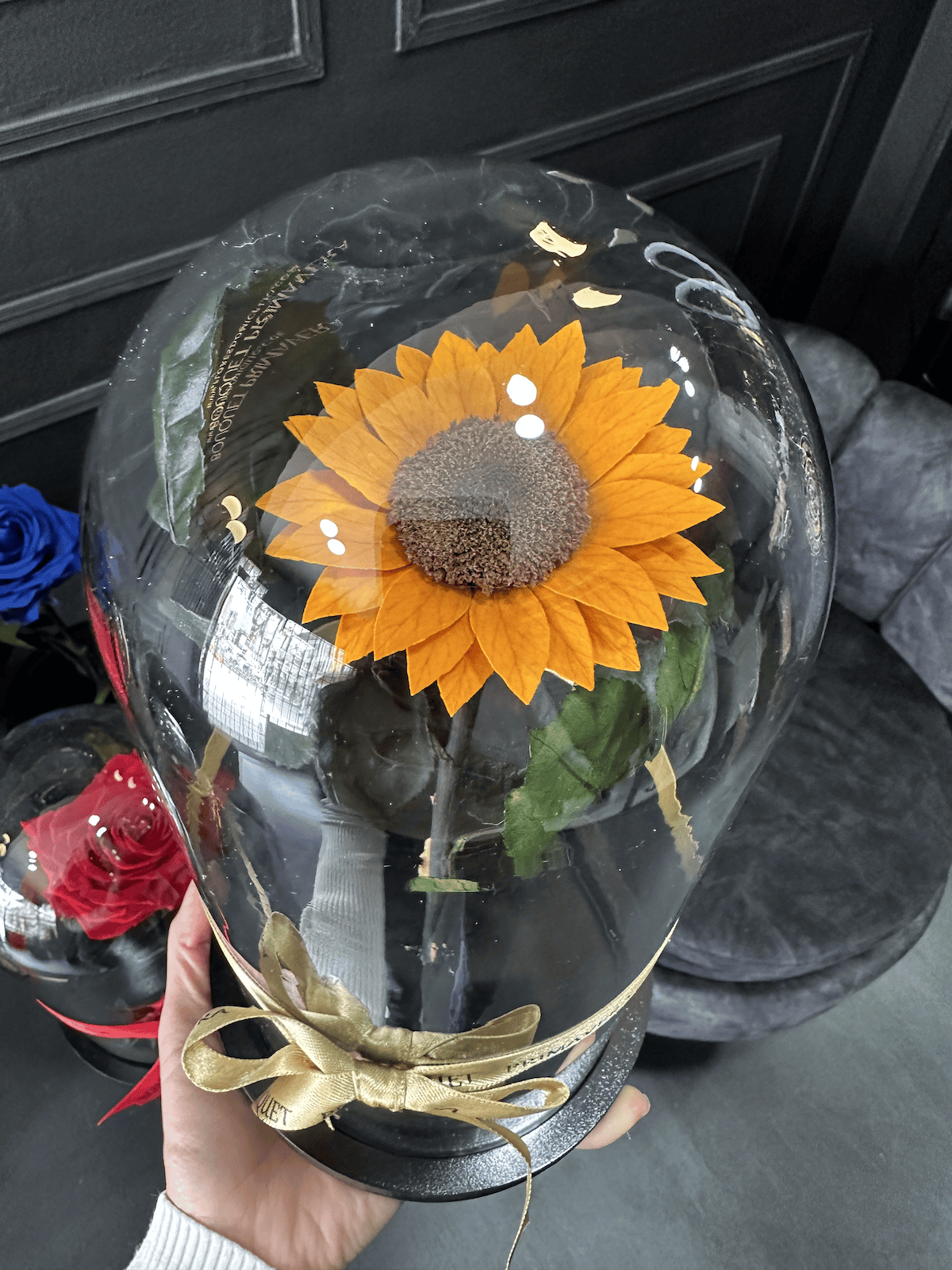 girasol preservado bogota