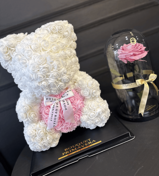 oso blanco osas eternas