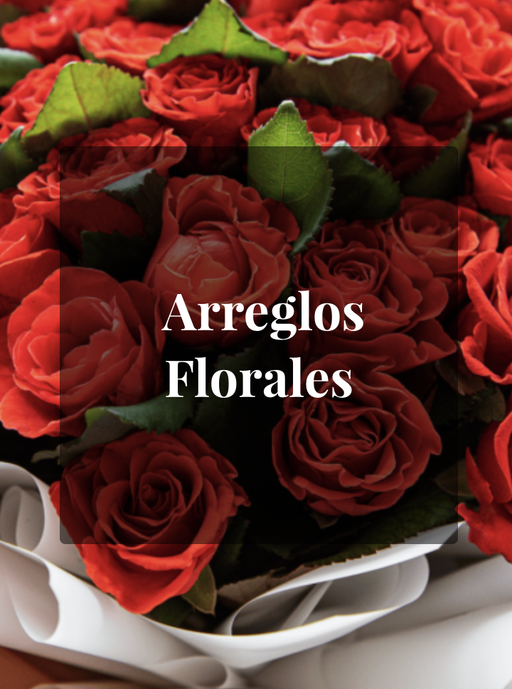 Arreglos Florales