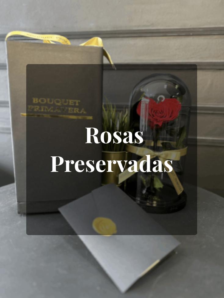 Rosas Preservadas