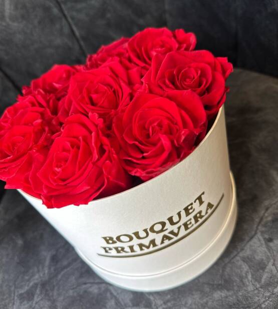 box rosas preservadas premium