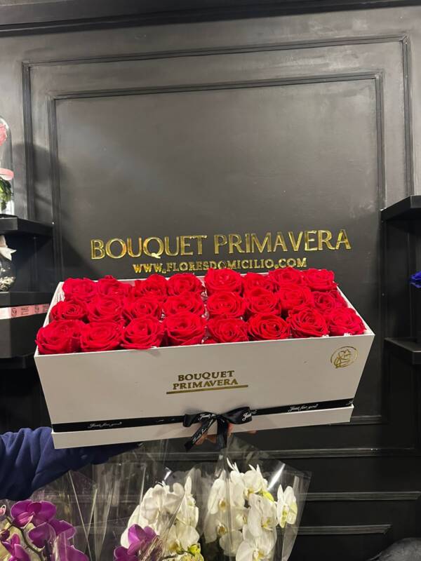 Box De Lujo 24 Rosas Rojas Preservadas