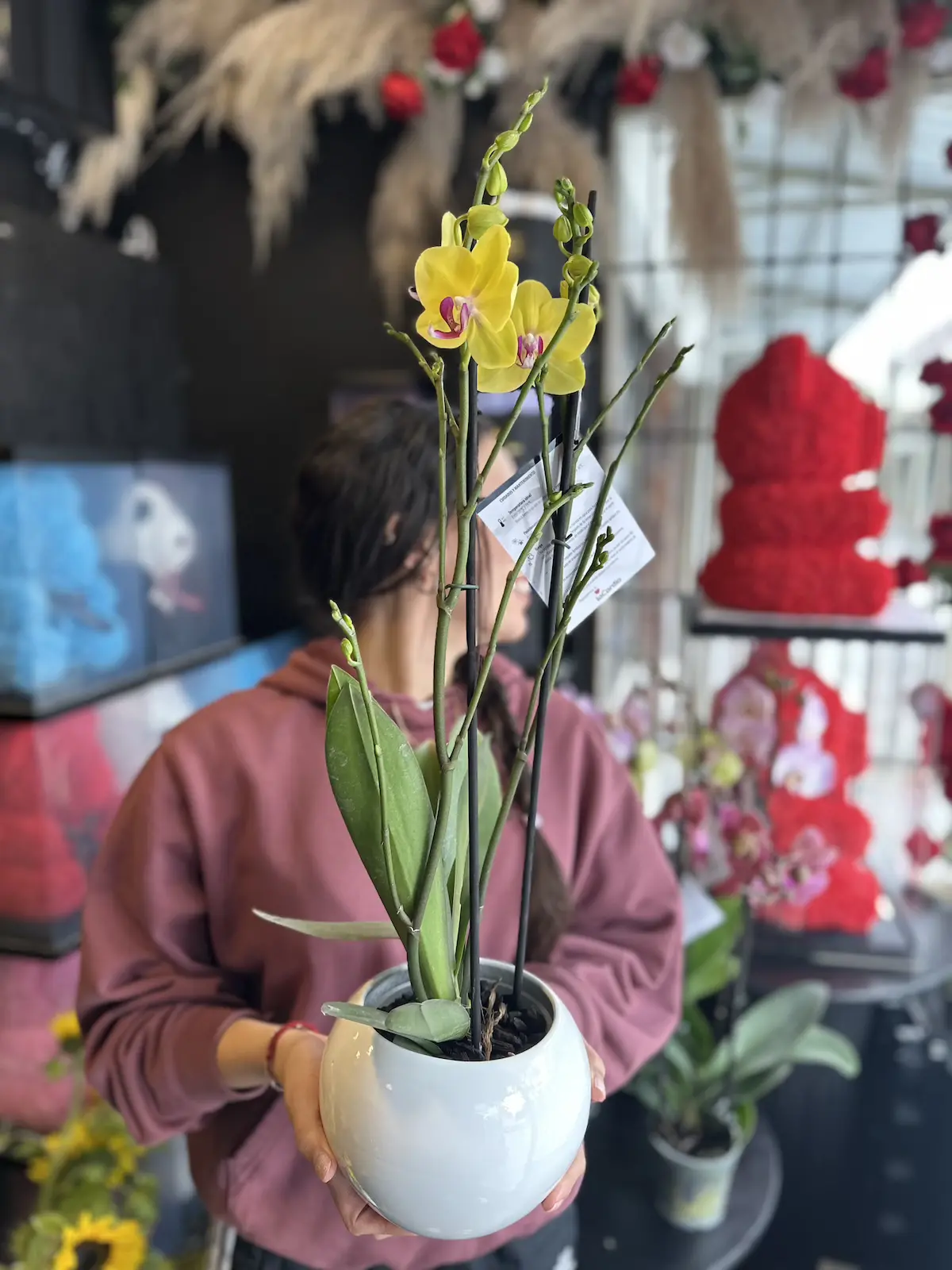 orquidea amarilla combinada