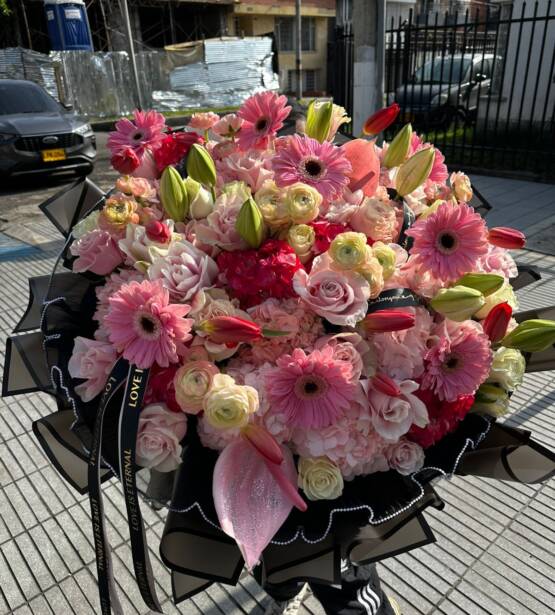 maxibloom jardín floral anturio