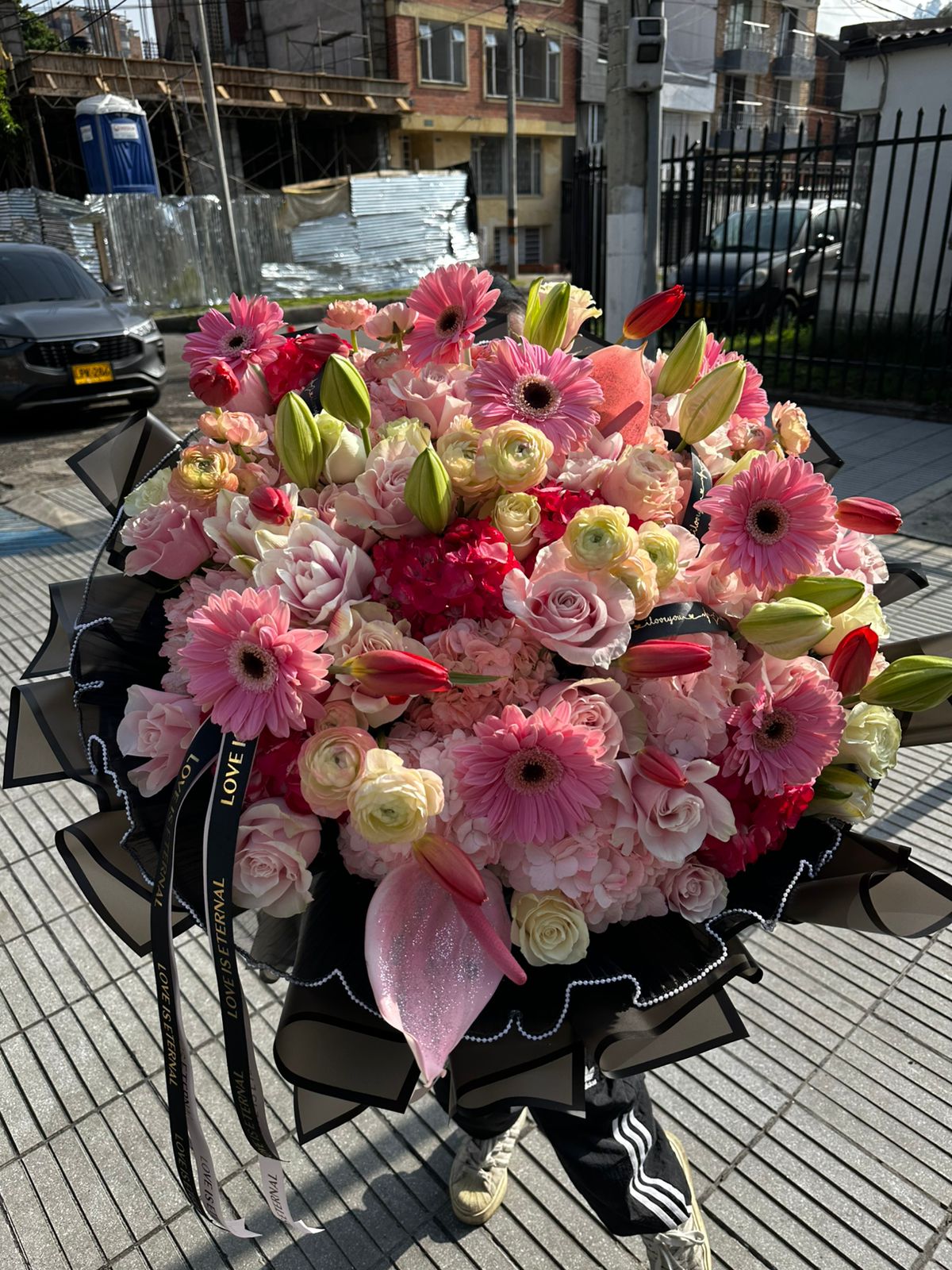 maxibloom jardín floral anturio