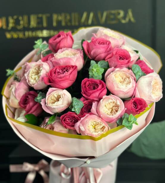 Garden Roses Rosas de Exportación