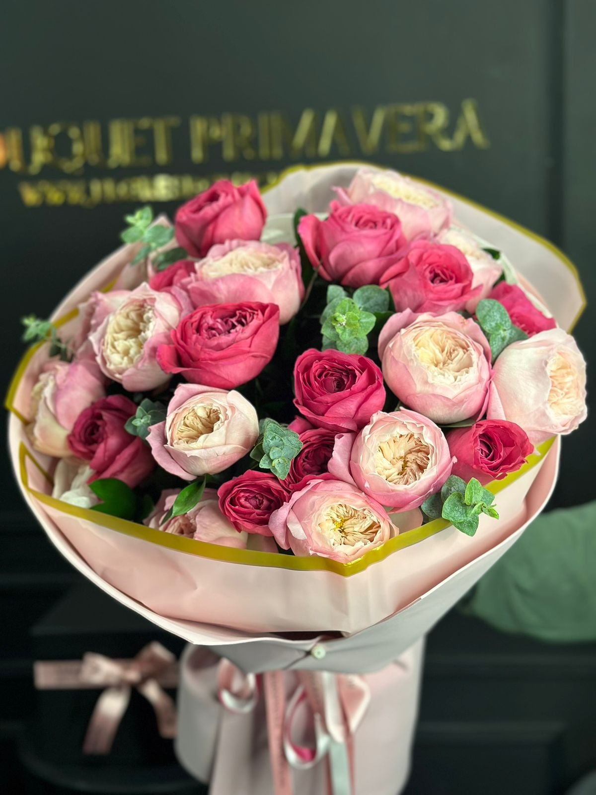 Garden Roses Rosas de Exportación